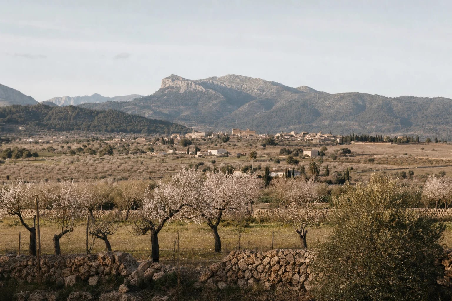 The island's interior: the regions of Mallorca away from the coast