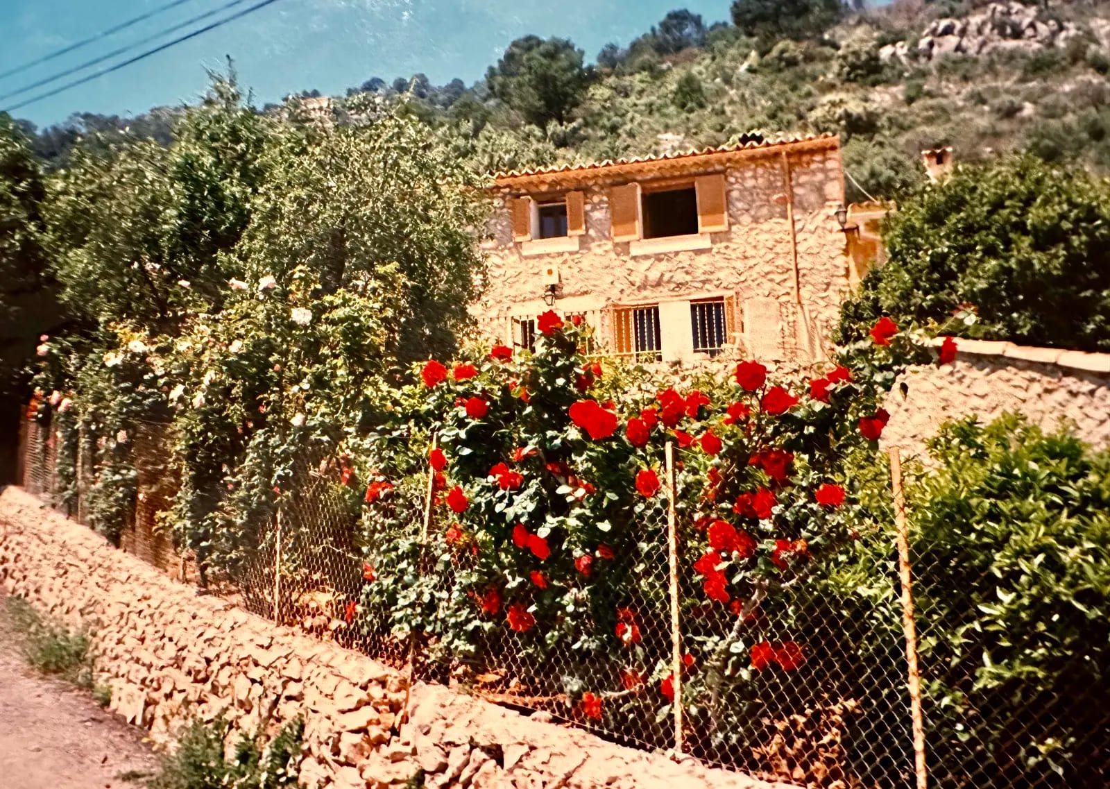 ALARÓ – The stone house on the slope, roses along the wall. 1996.