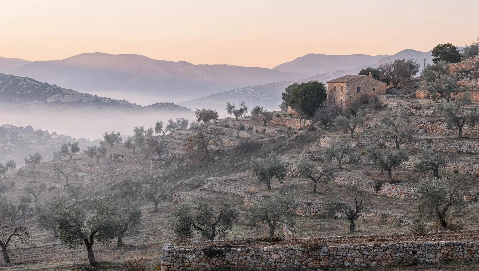 Serra de Tramuntana at dawn